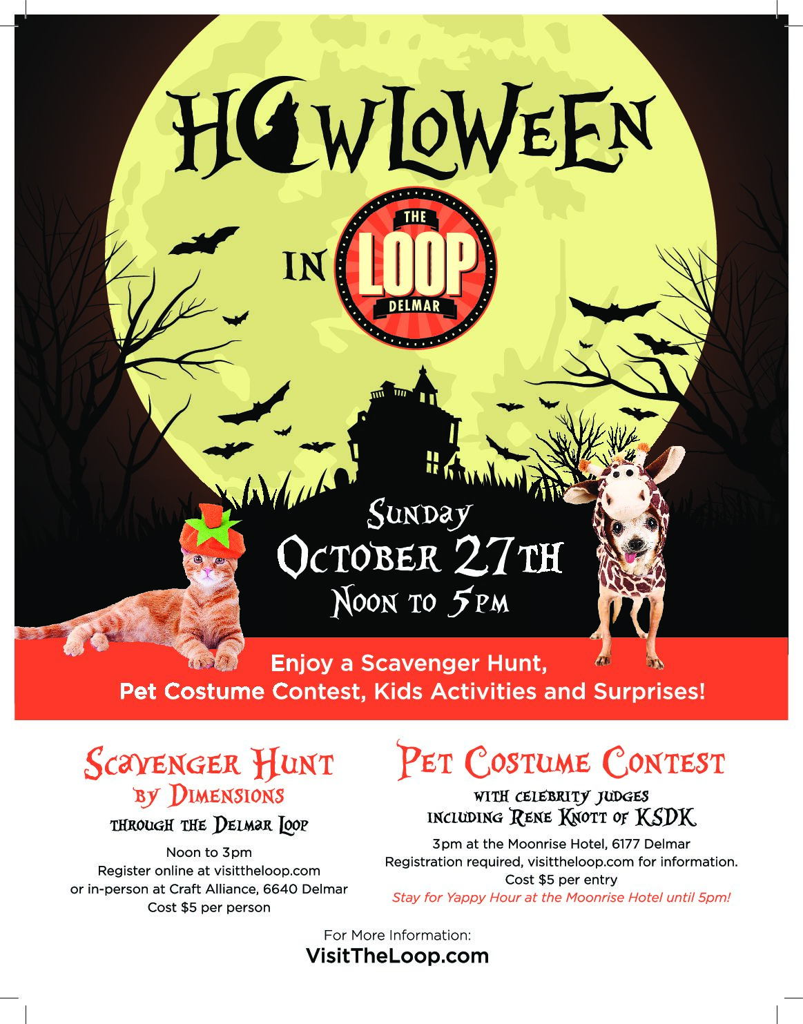 Delmar Loop Photo Contest Has Begun! The Delmar Loop