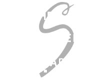 The Silver Lady Logo