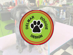 Delmar Doggie Design