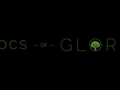 Locs of Glory - Delmar Loop